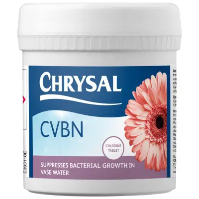 Chrysal CVBN 800 tabletek – do gerbery, słonecznka i innych letnich kwiatów