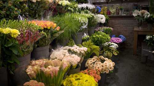 Przedłużanie trwałości kwiatów w kwiaciarni